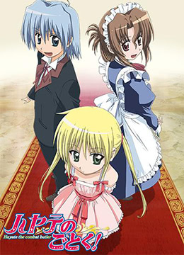 旋风管家封面图