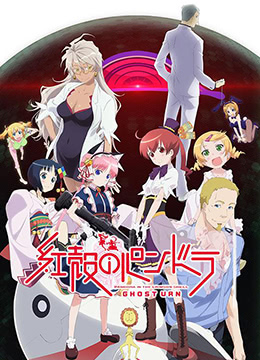 红壳的潘多拉封面图