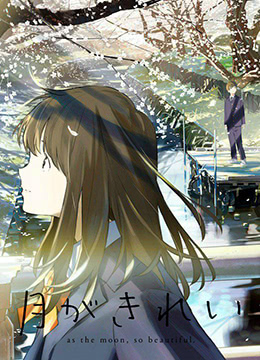 月色真美封面图