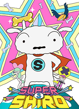 超级小白封面图