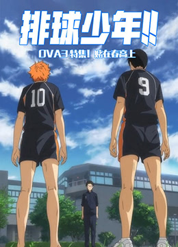 排球少年:特集赌在春高上的青春封面图
