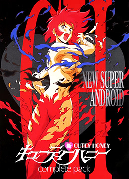 新甜心战士封面图