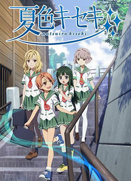 夏色奇迹封面图