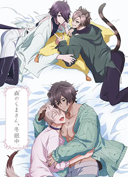 森林里的熊先生冬眠中封面图