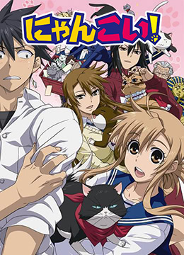 猫愿三角恋封面图