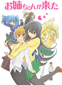 姐姐来了封面图