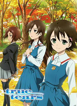 真实之泪封面图