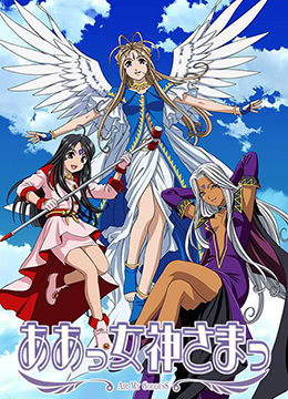 我的女神封面图