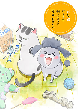 养狗与猫每天都很开心封面图