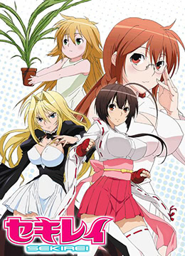 鹡鸰女神封面图