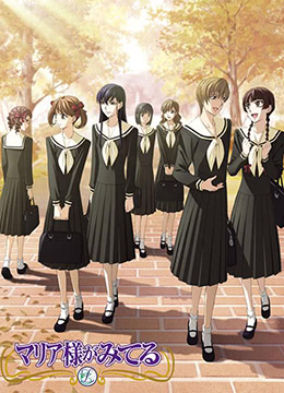 圣母在上第四季封面图