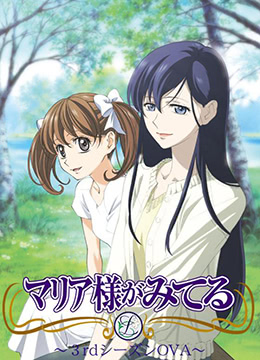 圣母在上第三季封面图