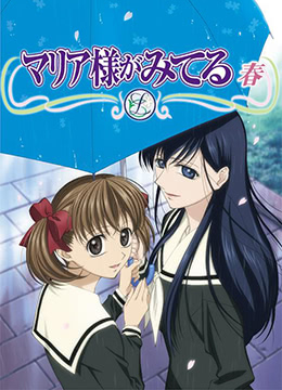 圣母在上第二季封面图