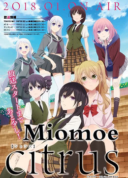 柑橘味香气封面图