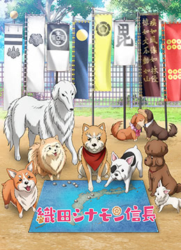 织田肉桂信长封面图