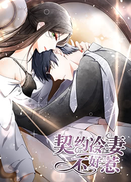 契约冷妻不好惹封面图