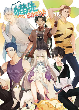 猫先动的手封面图