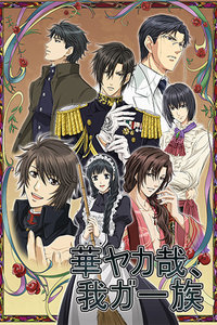 华丽一族封面图