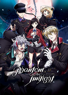 暮光幻影封面图