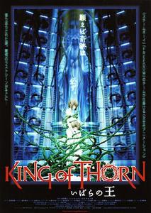 古城荆棘王封面图